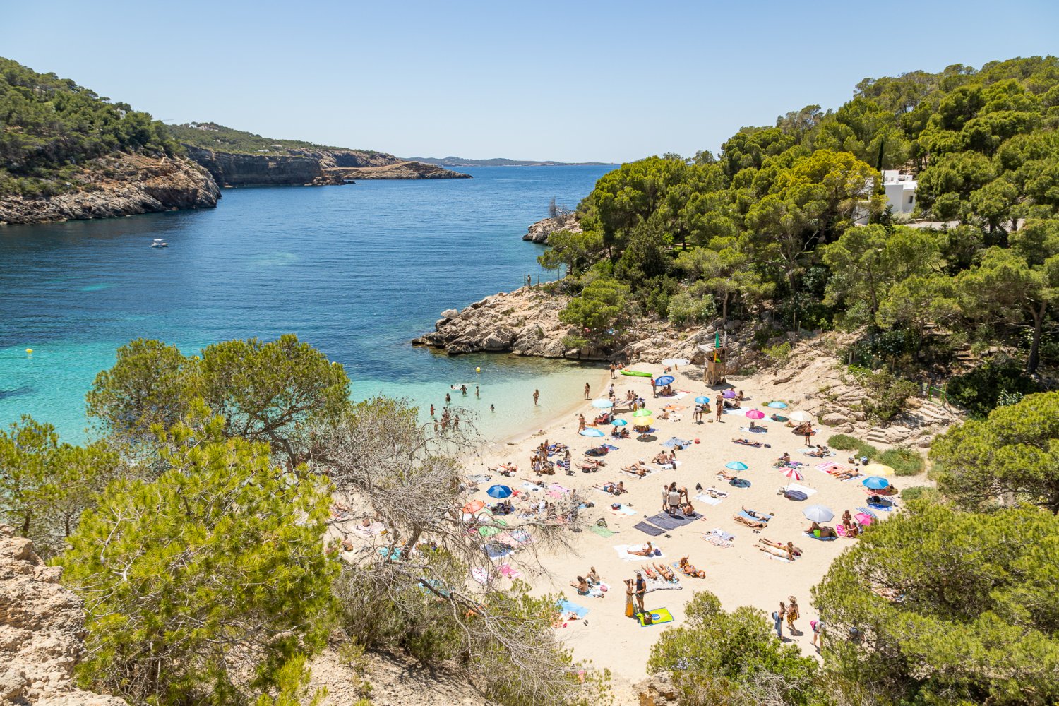 Cala Salada and Cala Saladeta beaches | Ibiza Spotlight