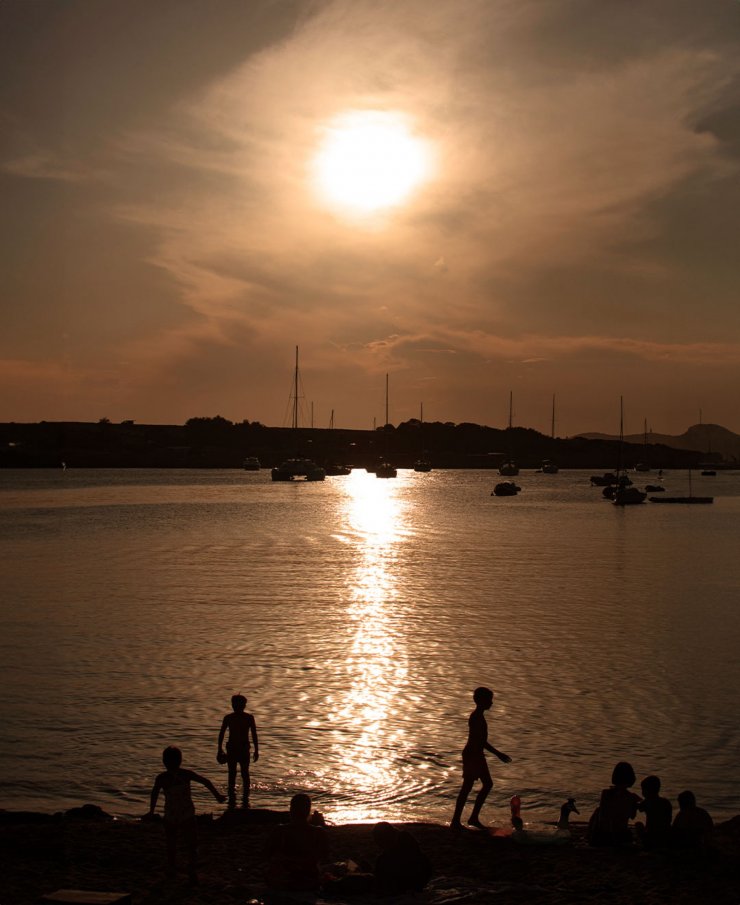 Tigre morado sunset from folder 2024