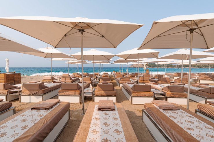 Blue Marlin - received 03 2026