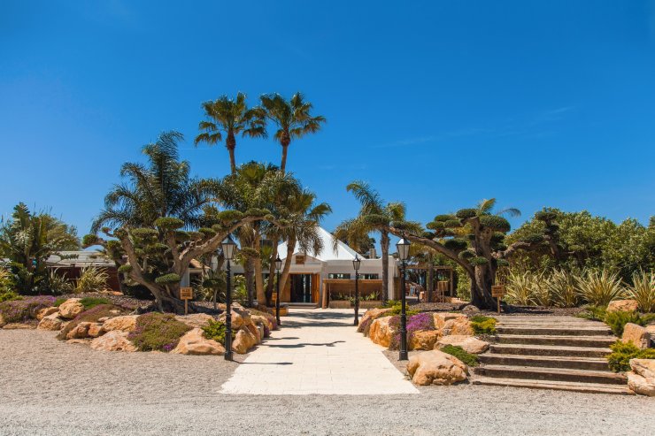 MARLIN AZUL - de su página de FB