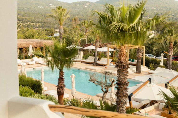 Petunie - Von der Kundenseite übernommen