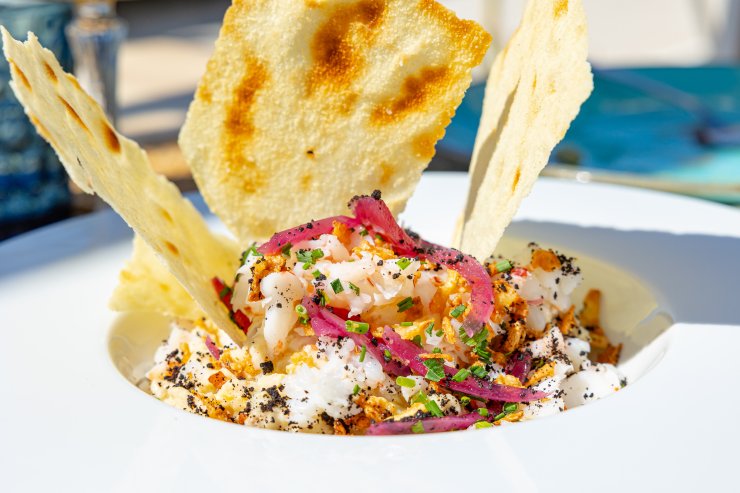 Recensione di Cana Sofia 2026