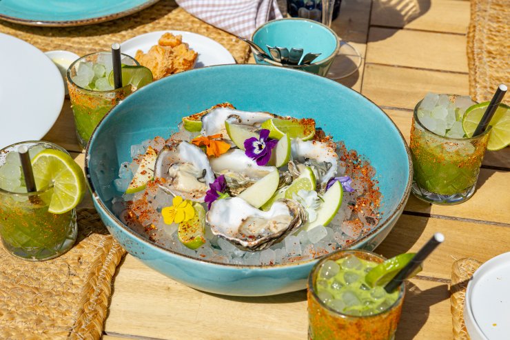 Recensione di Cana Sofia 2026