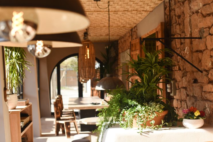 Restaurantbewertung: Kulturzentrum Las Dalias Café setzt die historische Tradition in San Carlos fort