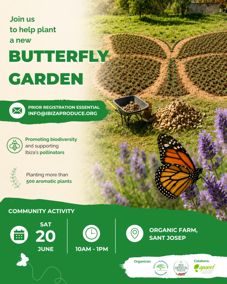 Community Activity | Butterfly Garden