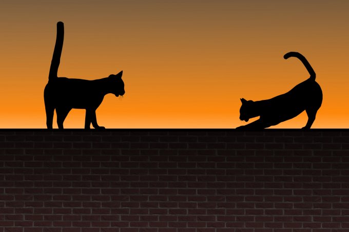 Care4Cats Silhouette