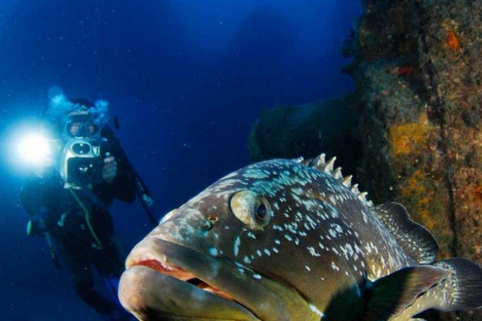Scuba Diving Ibiza - photographing the fish