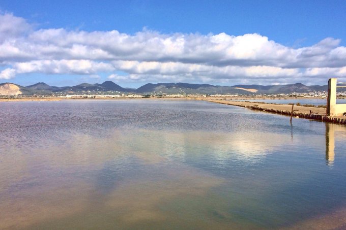 Cat Milton - Las Salinas Salt Flats