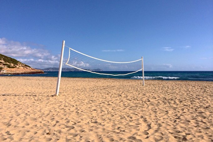 Cat Milton Es Cavallet