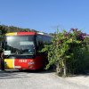 Ibiza Virgins' Guide: Daytime buses