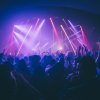 Flirtatious offering Passion Beat continues Pacha's pre-season