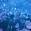 Party preview | Pacha's Grand Closing Party with Peggy Gou