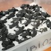 Ibiza’s newborn turtles mark a conservation milestone