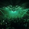 Pacha's owner posts financial snapshot after record-breaking season
