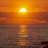 Meduza³ to headline Café Mambo's solar eclipse special 