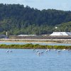 Ses Salines: la antigua tradición de la sal que pasa desapercibida