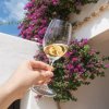 Guided tours and wine tasting at Can Rich