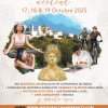 Ibiza Wellness Weekend
