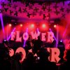 Super Flower Party in San Antonio