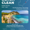 Beach Clean Sunday