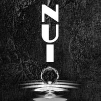 NUI Ibiza - TEMPORANEAMENTE CHIUSO