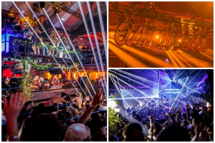 Images supplied by Natalia (Amnesia Press) May 2022