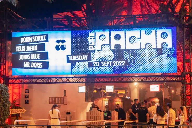Jonas Blue x Louisa Johnson | Pure Pacha