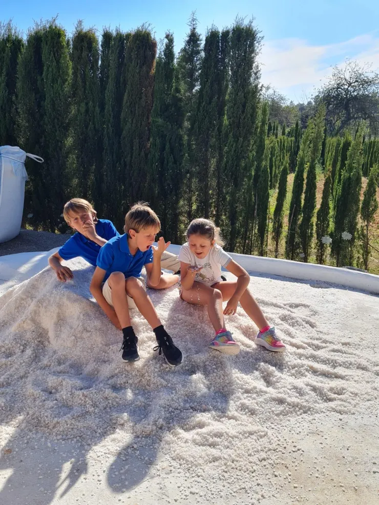 BiBo Park - 2025